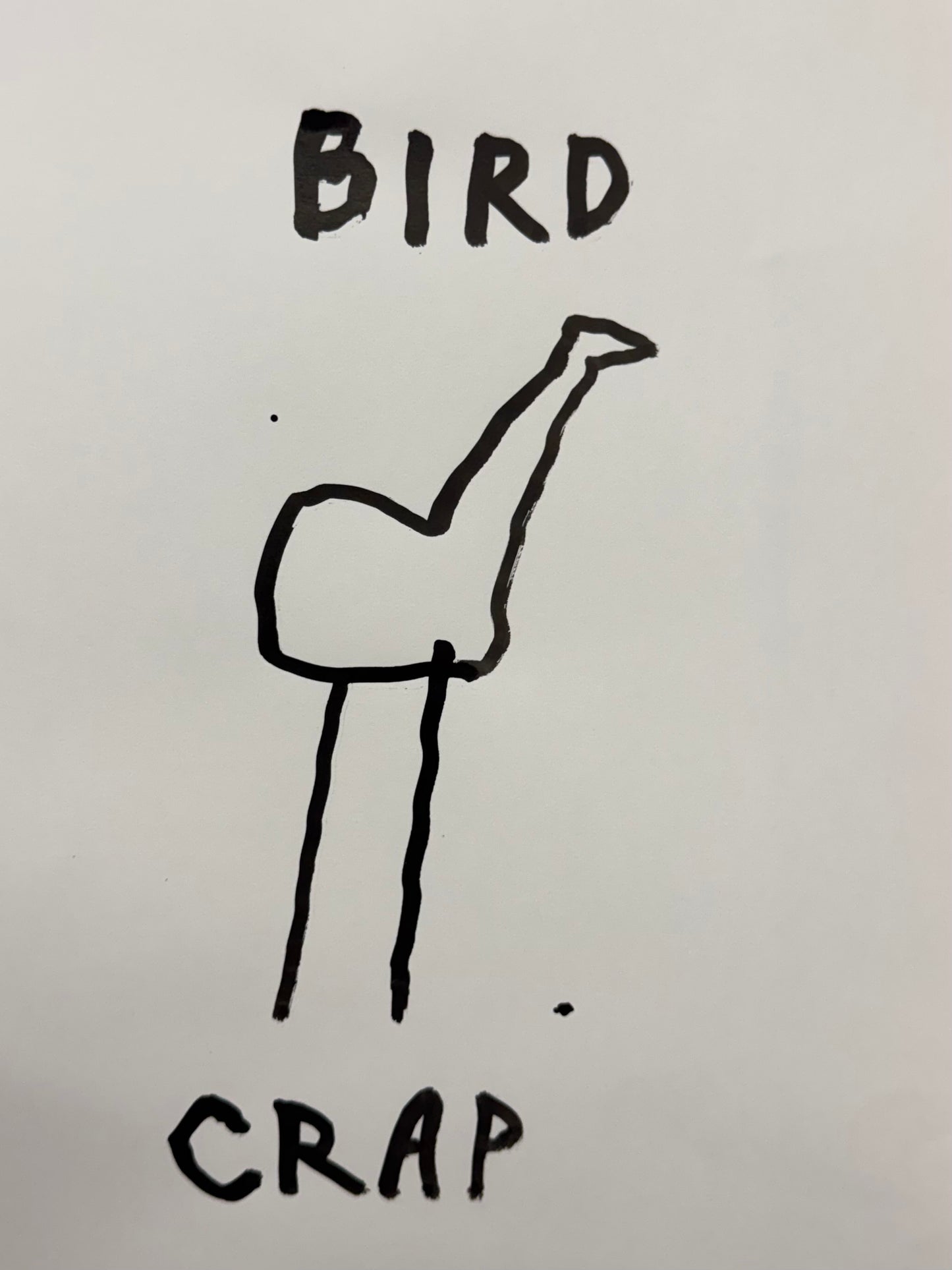 Bird Crap