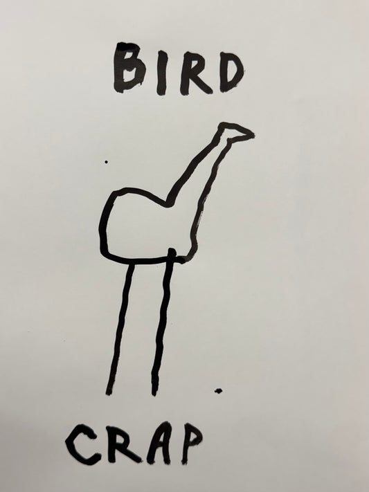Bird Crap